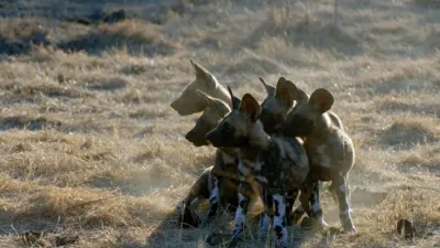 thumbnail - S4:E5 Outcasts Rising