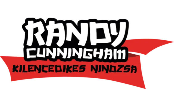 Randy Cunningham, kilencedikes nindzsa