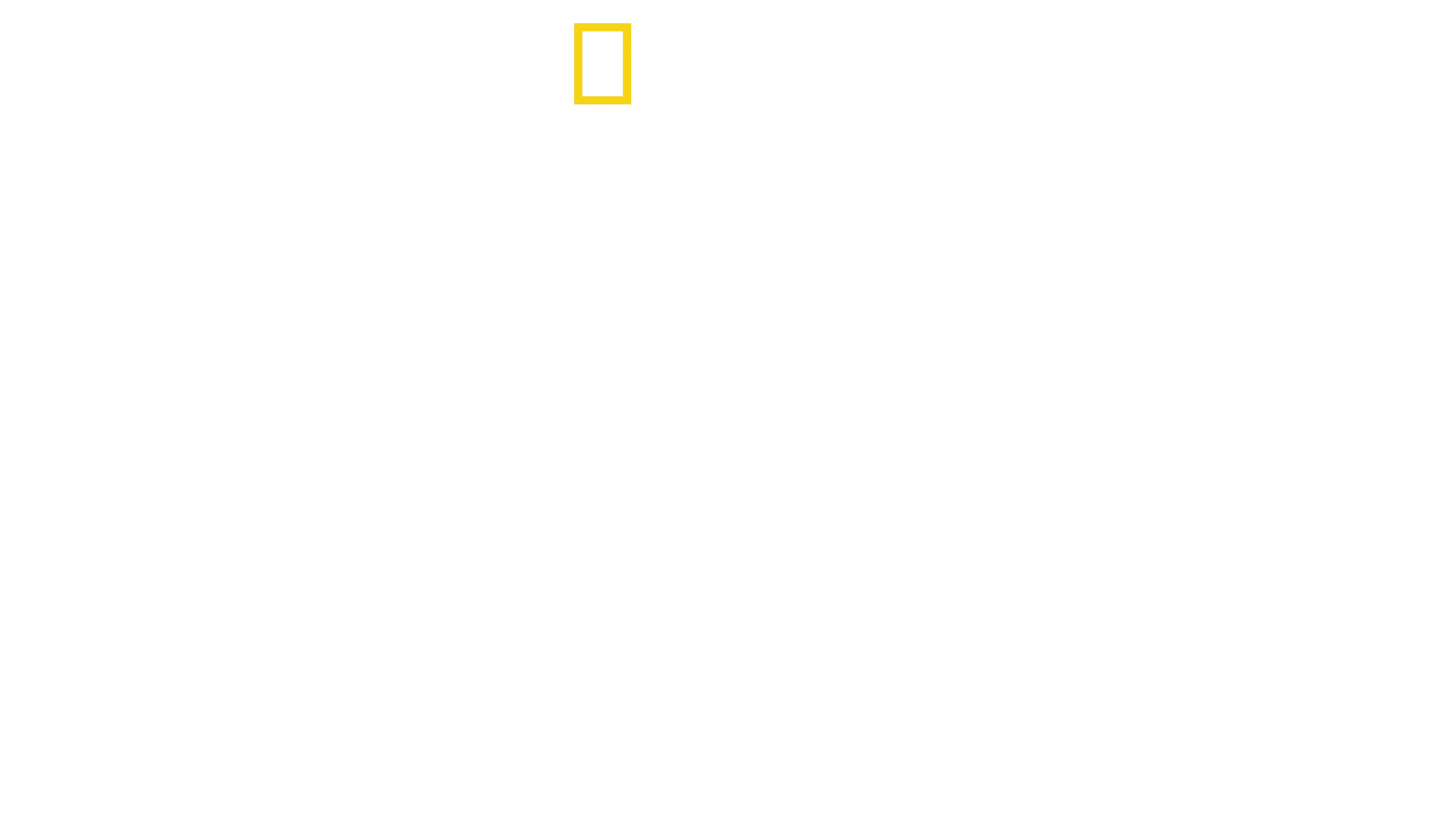 Anthony Mackie à la rencontre des requins