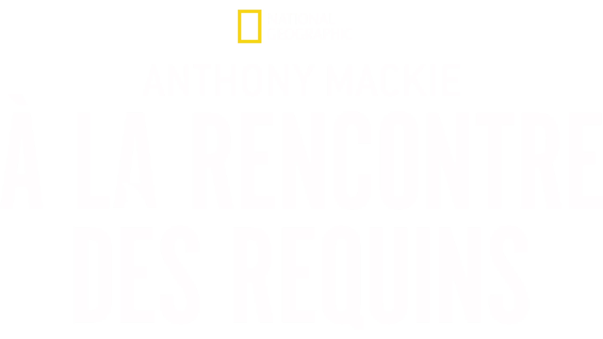 Anthony Mackie à la rencontre des requins