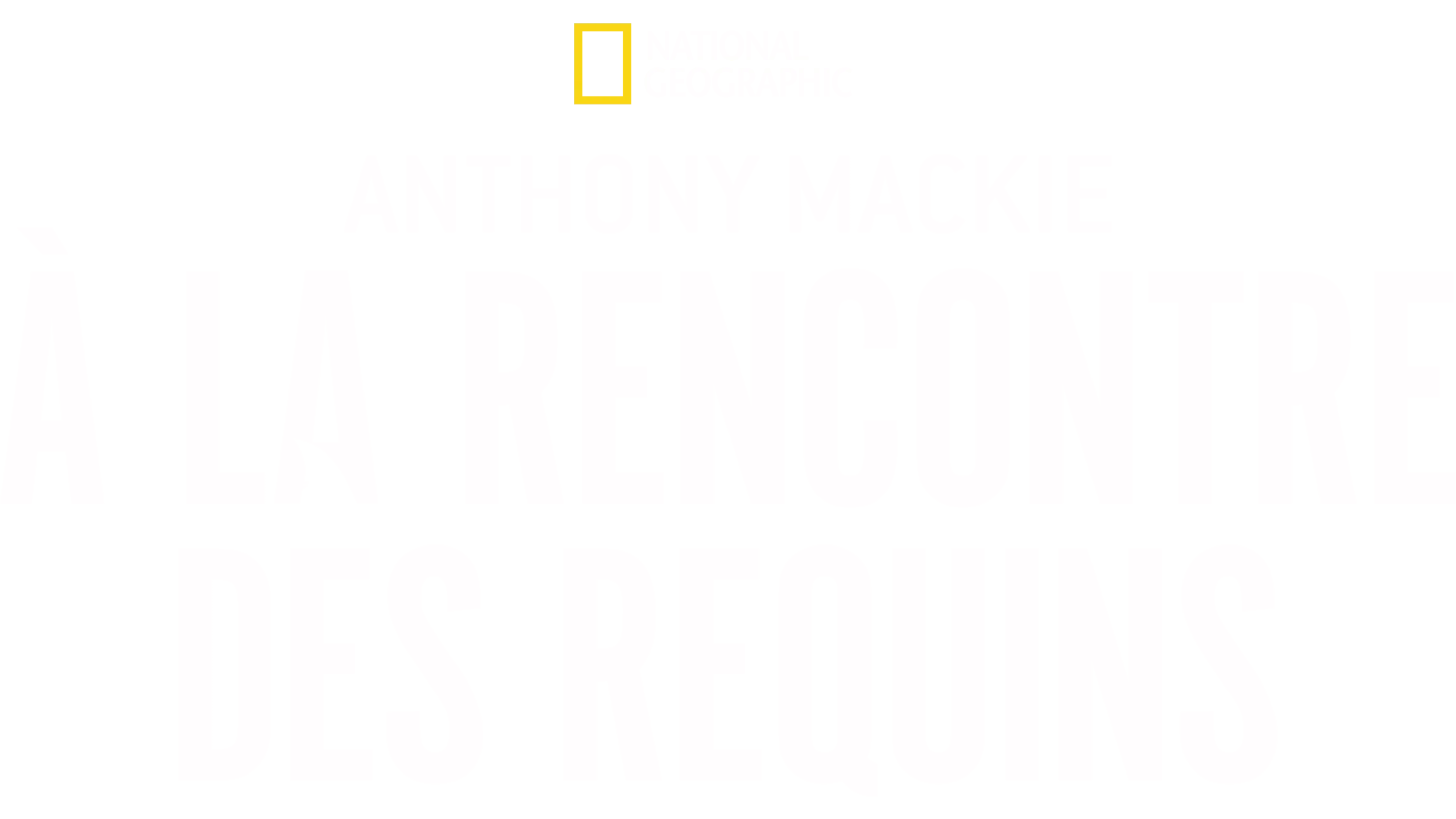 Anthony Mackie à la rencontre des requins