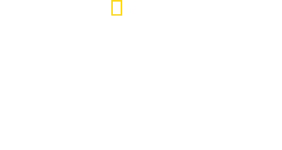Anthony Mackie à la rencontre des requins