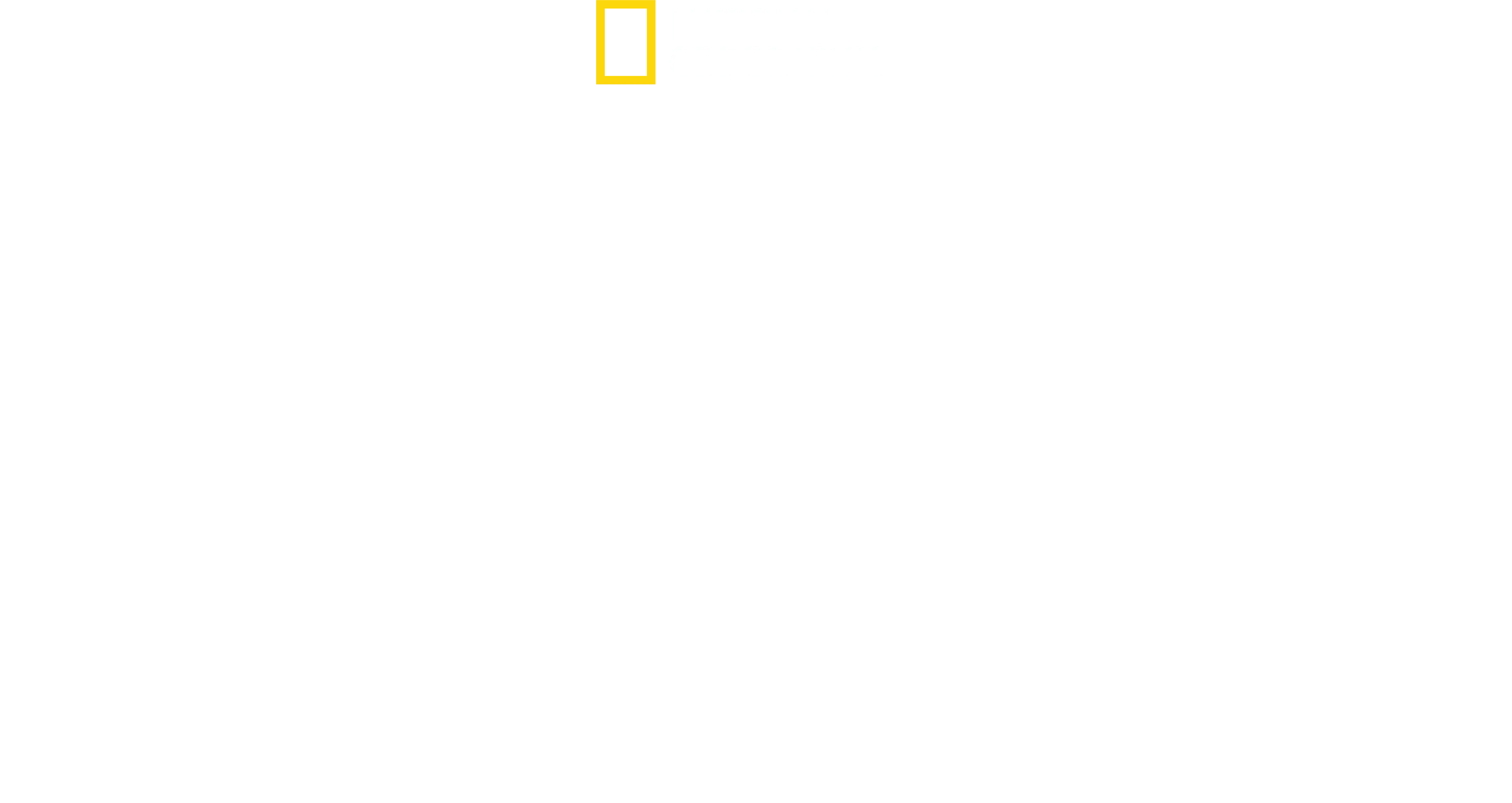 Anthony Mackie à la rencontre des requins