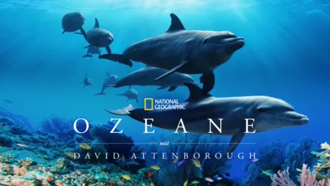 thumbnail - Ozeane mit David Attenborough