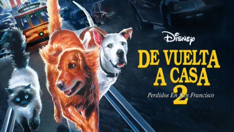 thumbnail - De vuelta a casa 2: Perdidos en San Francisco