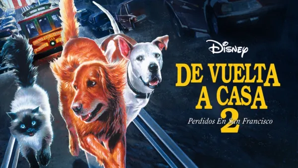 thumbnail - De vuelta a casa 2: Perdidos en San Francisco