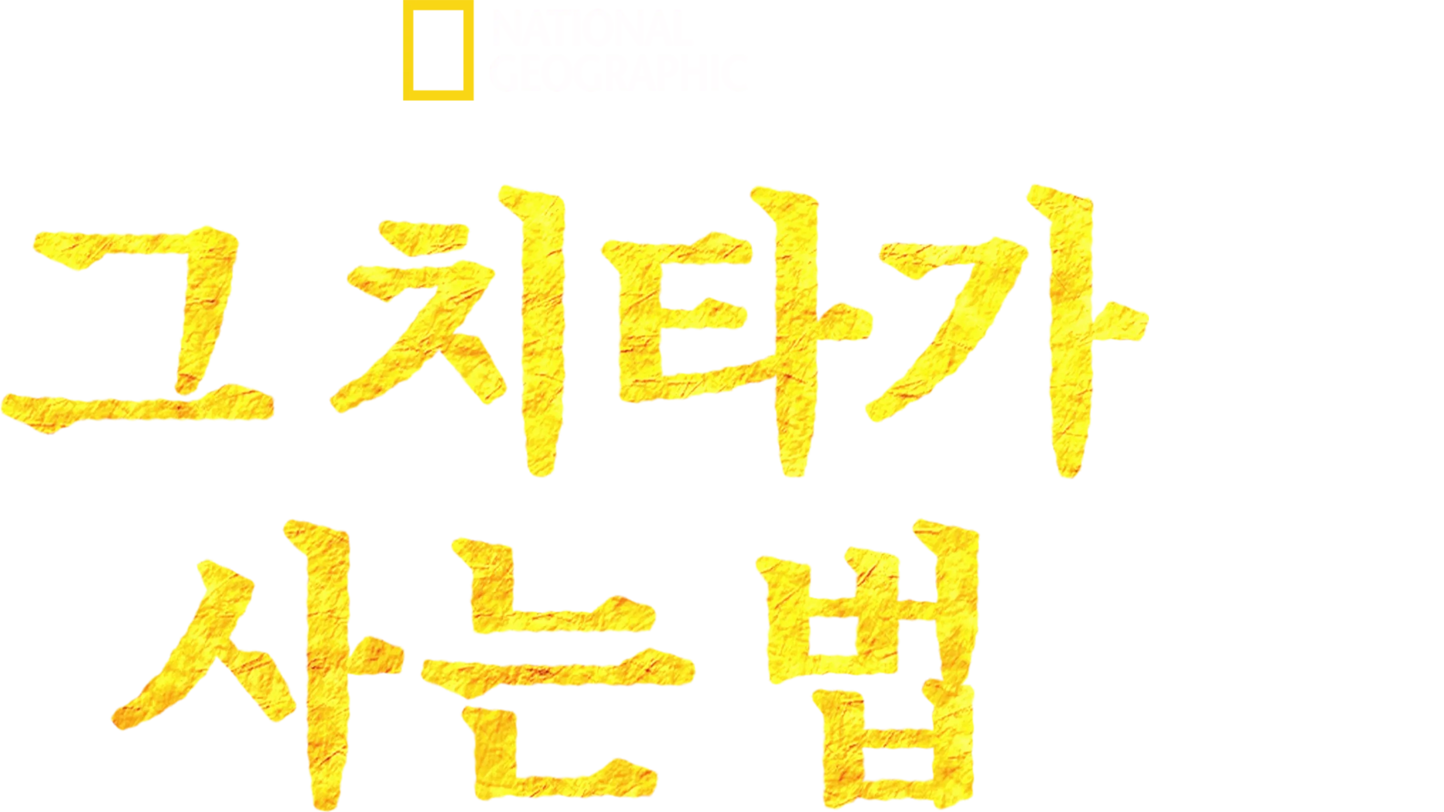 그 치타가 사는 법