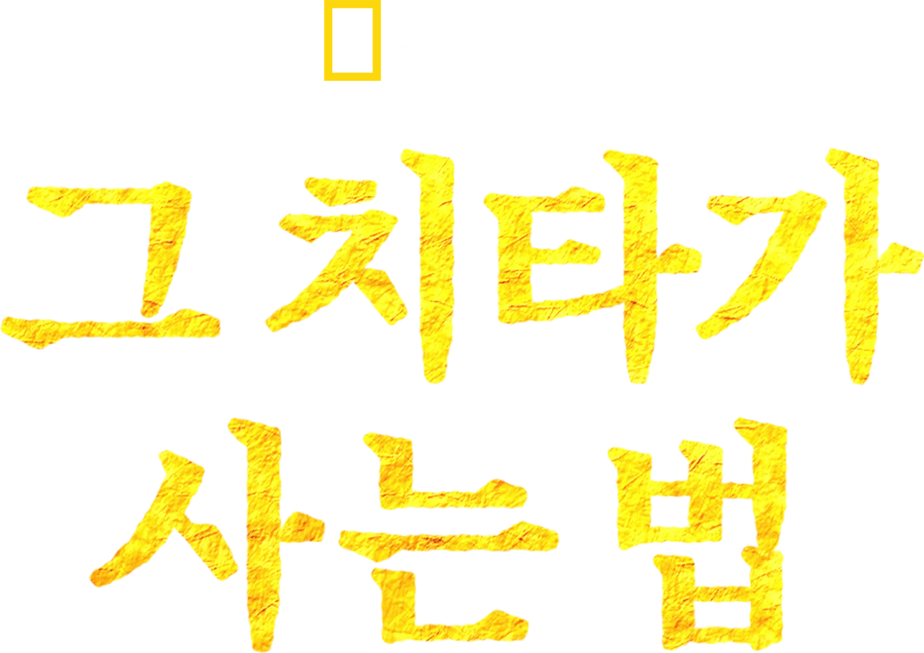 그 치타가 사는 법