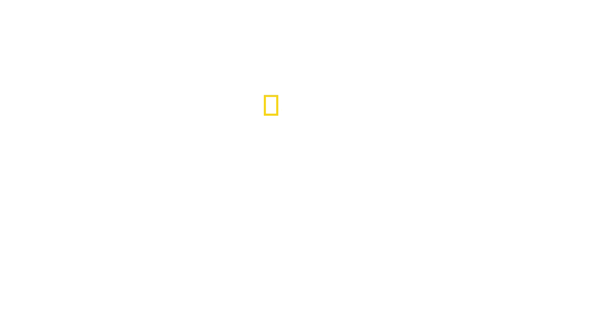 Disastri in presa diretta
