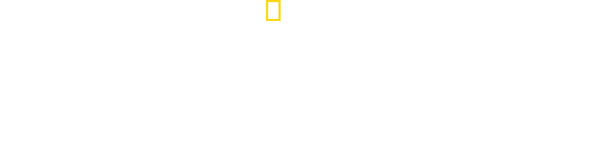 Disastri in presa diretta