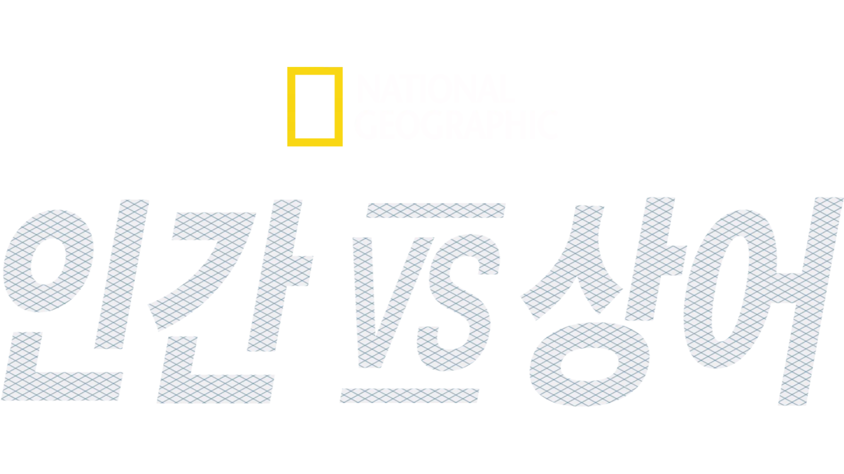 인간 vs 상어
