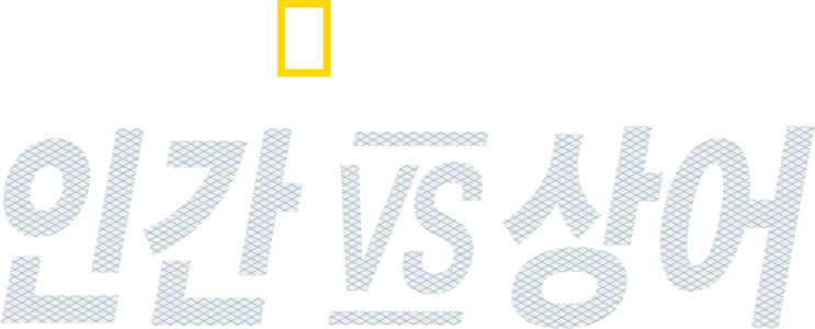 인간 vs 상어