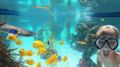 thumbnail - S1:E9 Incredible Outdoor Adventures!