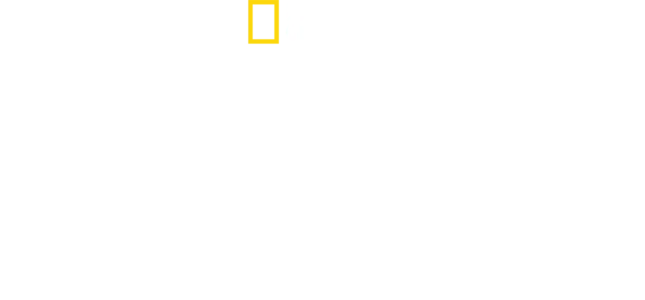 Vahşi Krallık