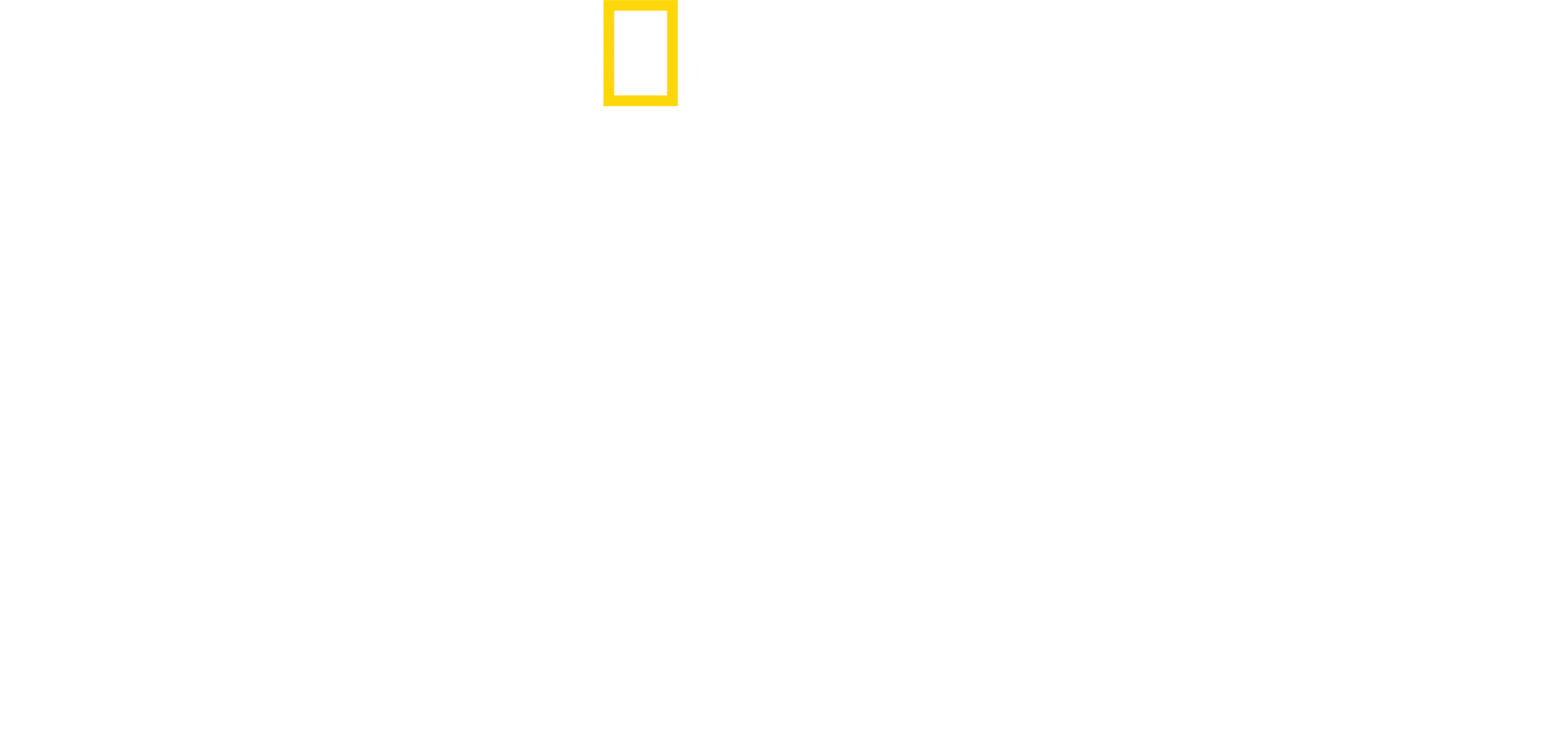Vahşi Krallık
