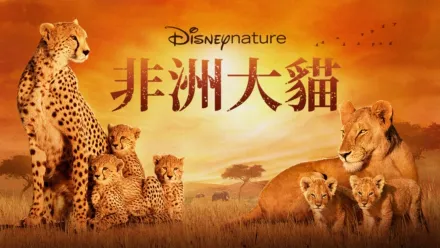 thumbnail - 非洲大貓