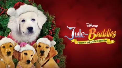 thumbnail - Jule-Buddies: Jagten på Julehunden