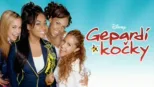 thumbnail - Gepardí kočky