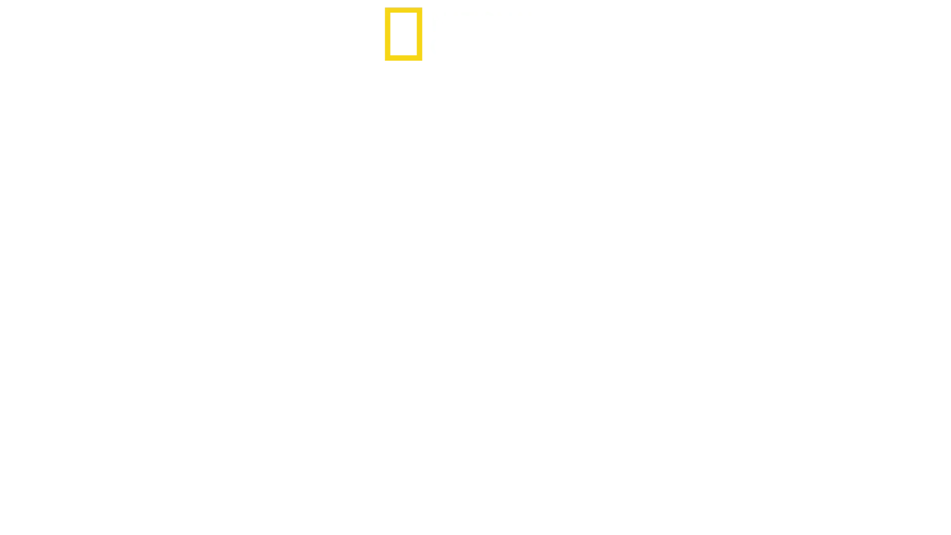 Ma vie sauvage