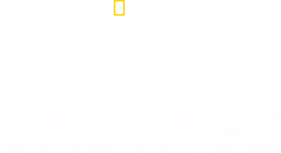 Ma vie sauvage