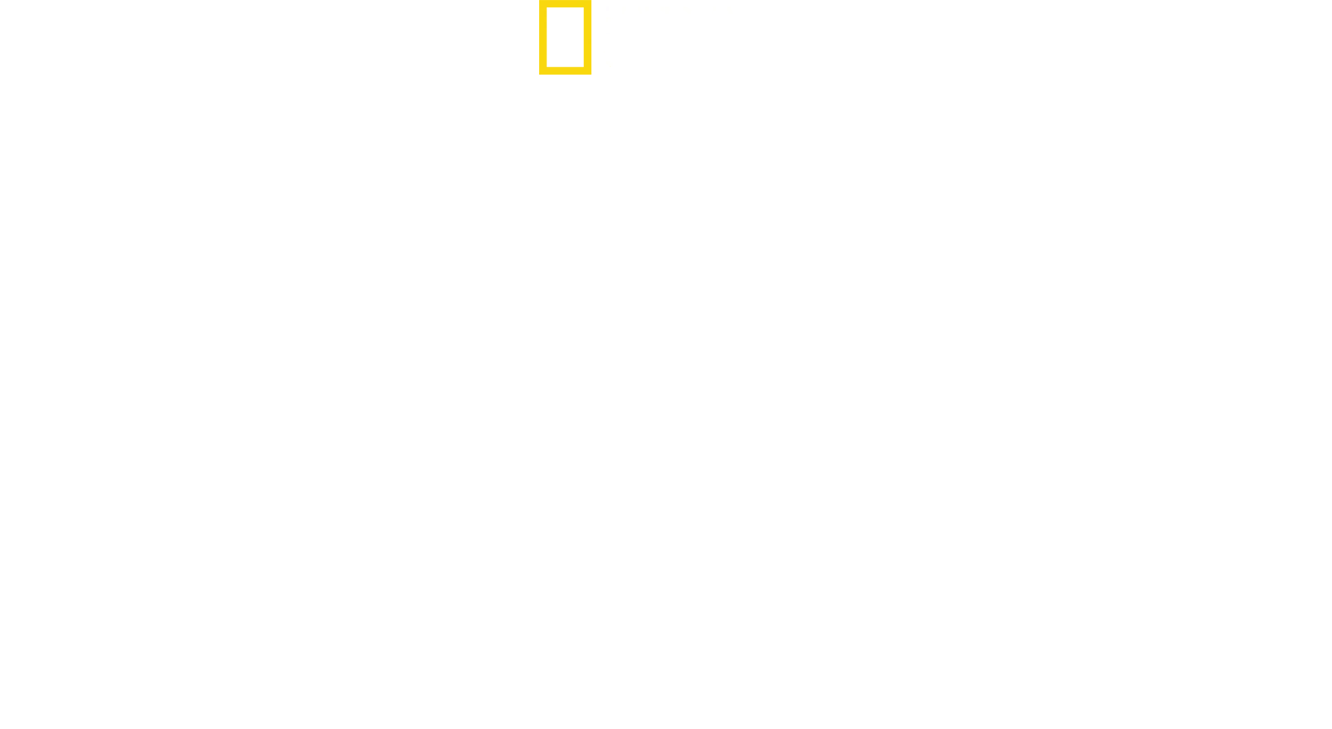 Ma vie sauvage