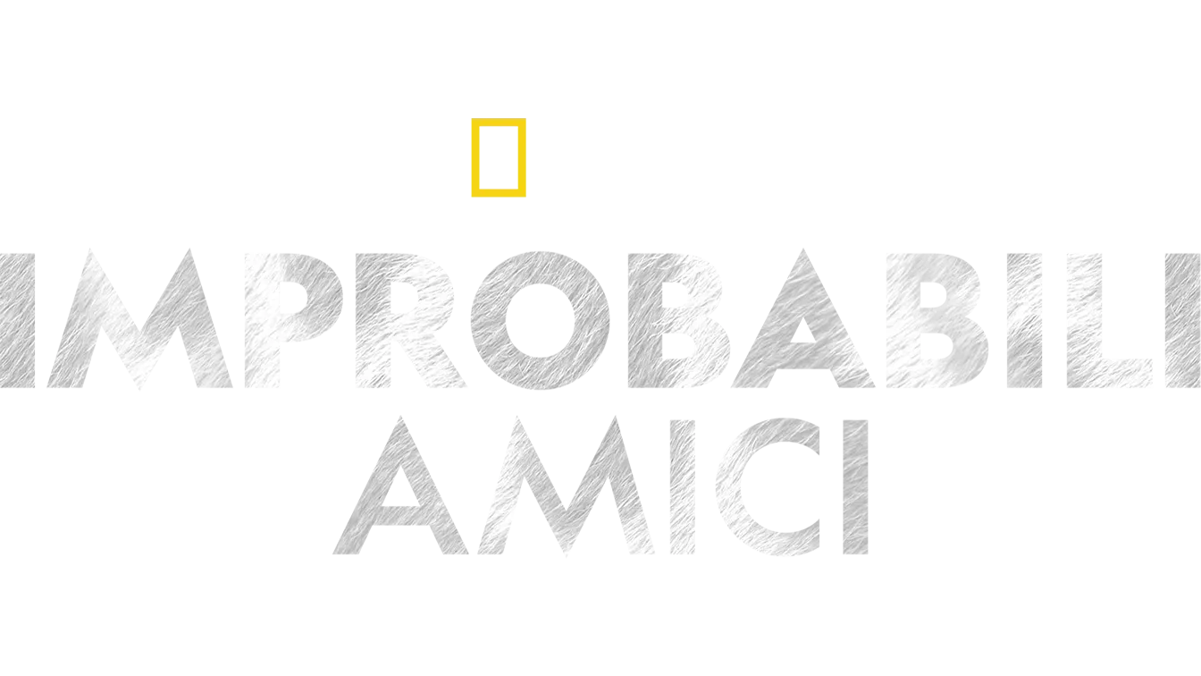 Improbabili amici