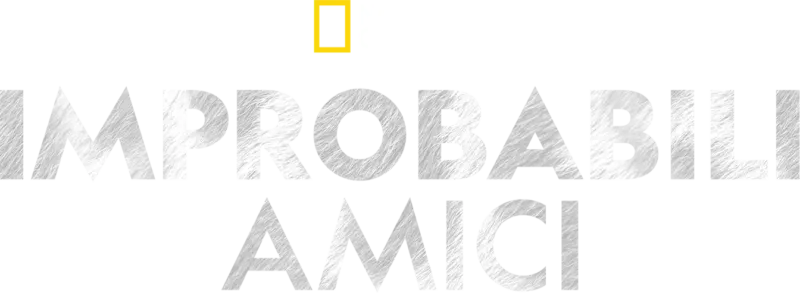 Improbabili amici