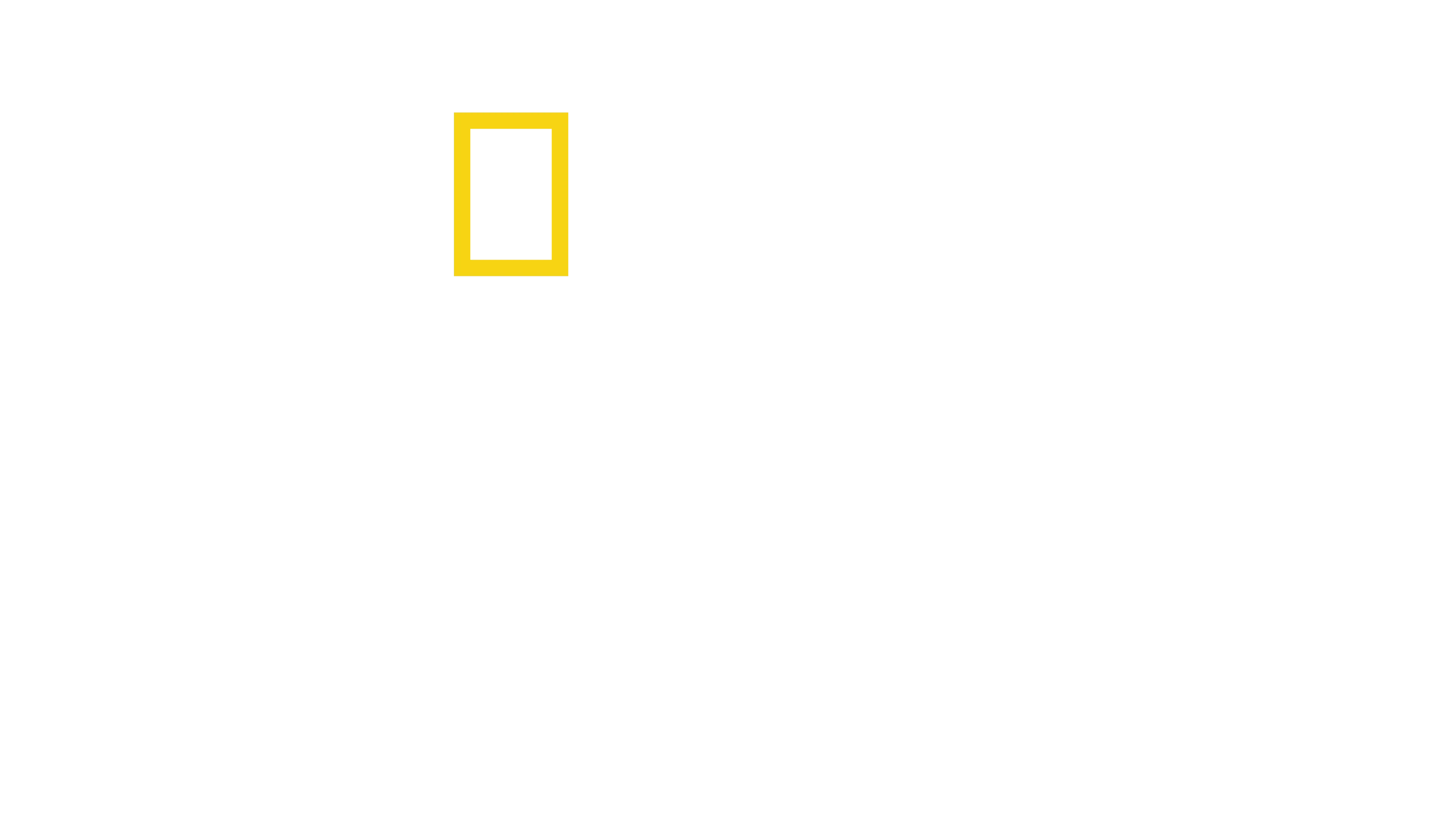 章魚之謎
