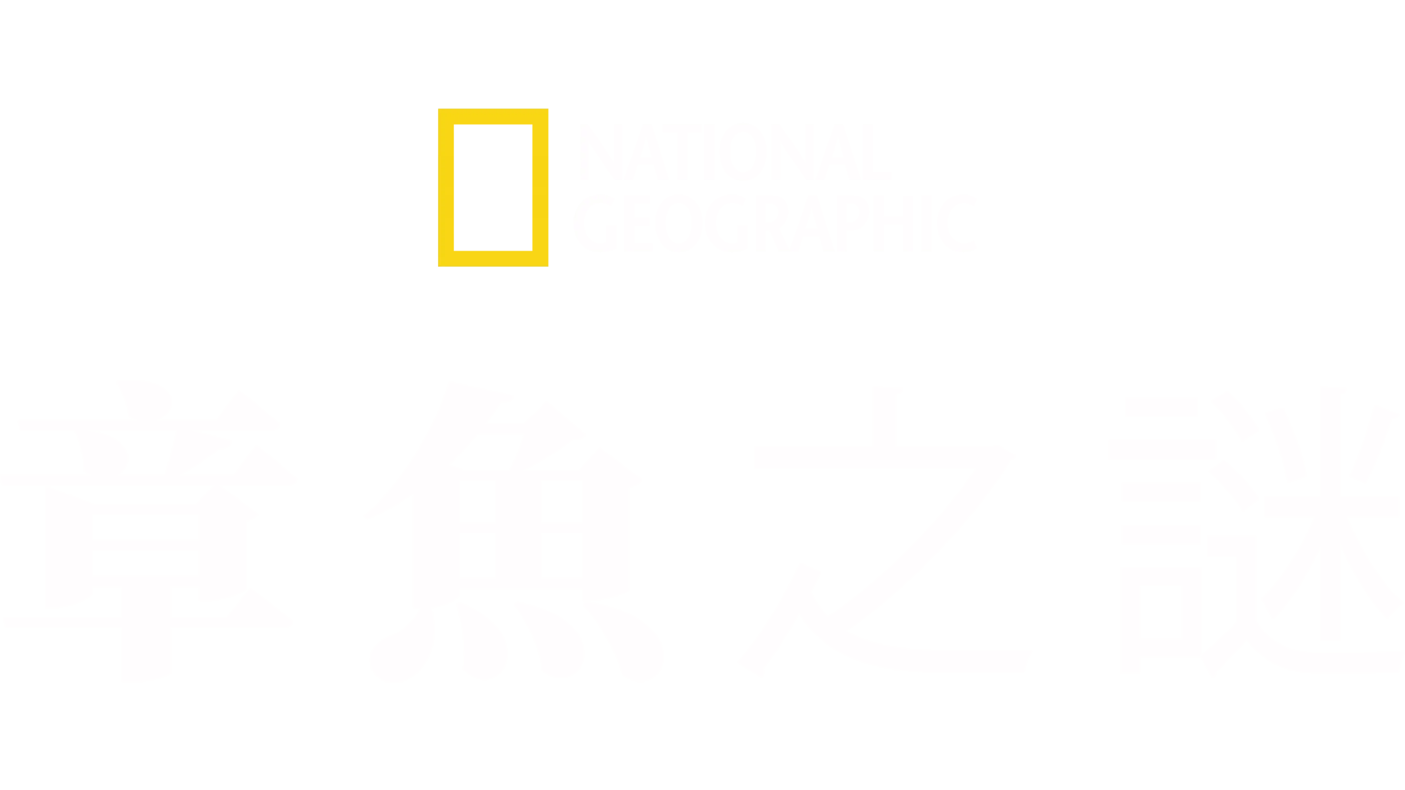章魚之謎