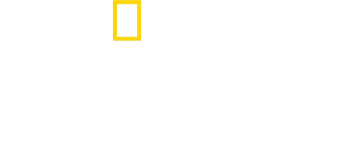 章魚之謎