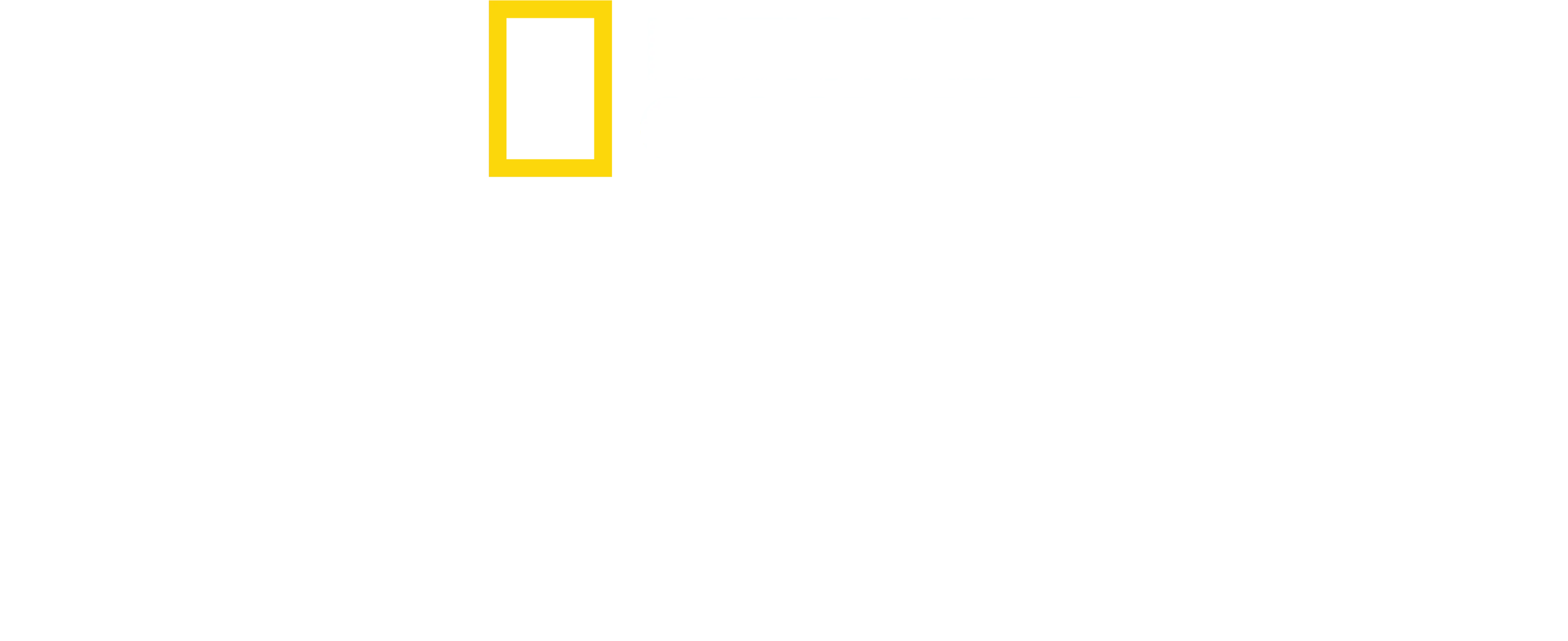 章魚之謎