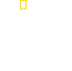 原始自由人