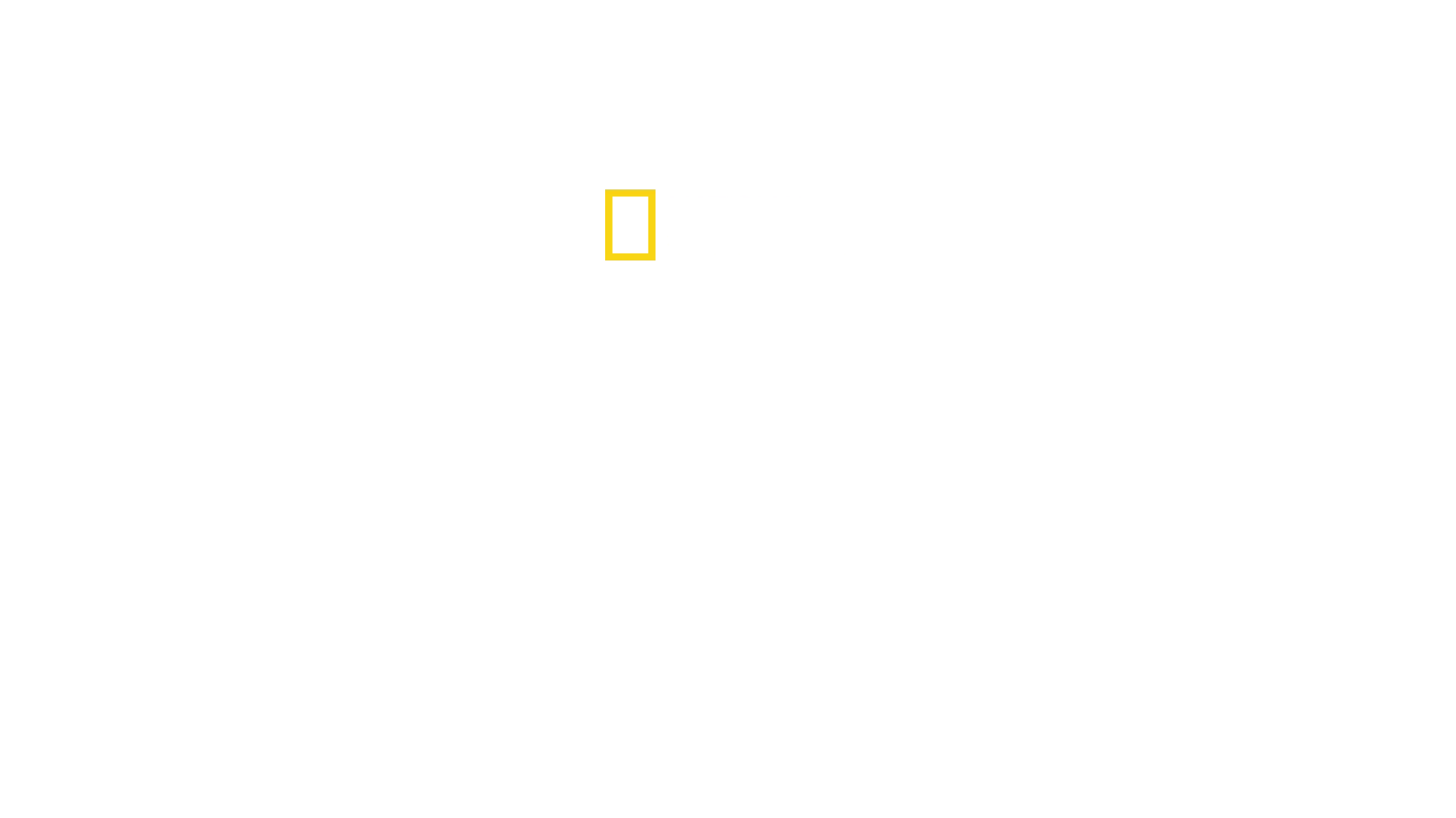Chris Hemsworth: a caccia di squali