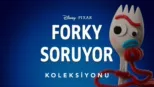 thumbnail - Forky Soruyor