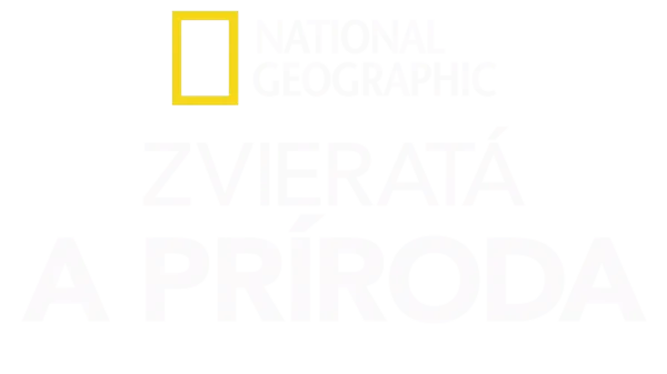 National Geographic – zvieratá a príroda