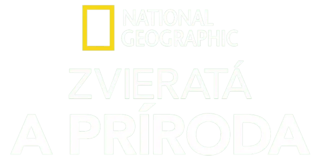 National Geographic – zvieratá a príroda