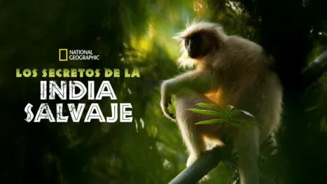 thumbnail - Los secretos de la India salvaje