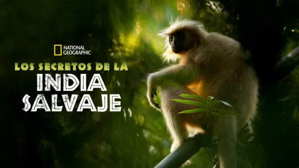 thumbnail - Los secretos de la India salvaje