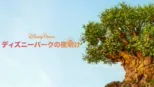 thumbnail - ディズニーパークの夜明け