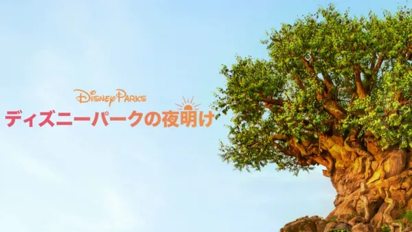 thumbnail - ディズニーパークの夜明け