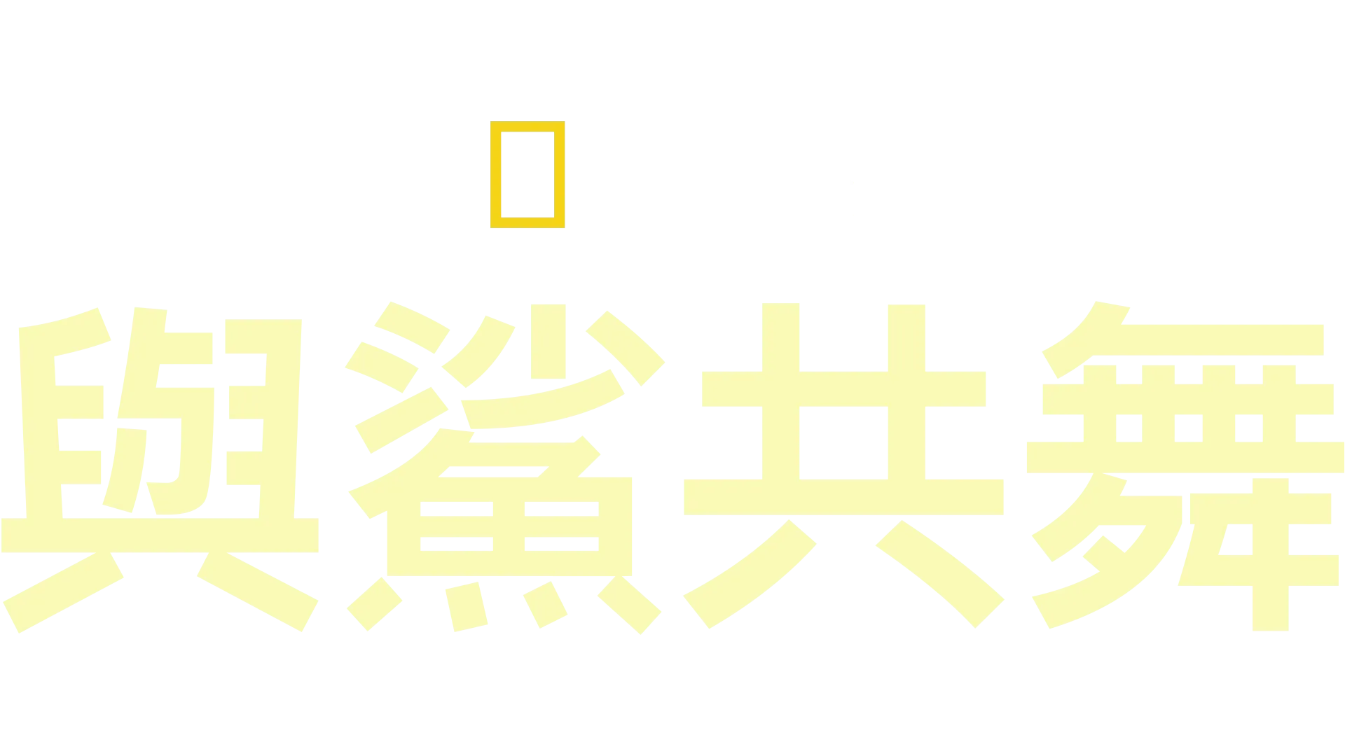 與鯊共舞