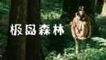 thumbnail - 极岛森林