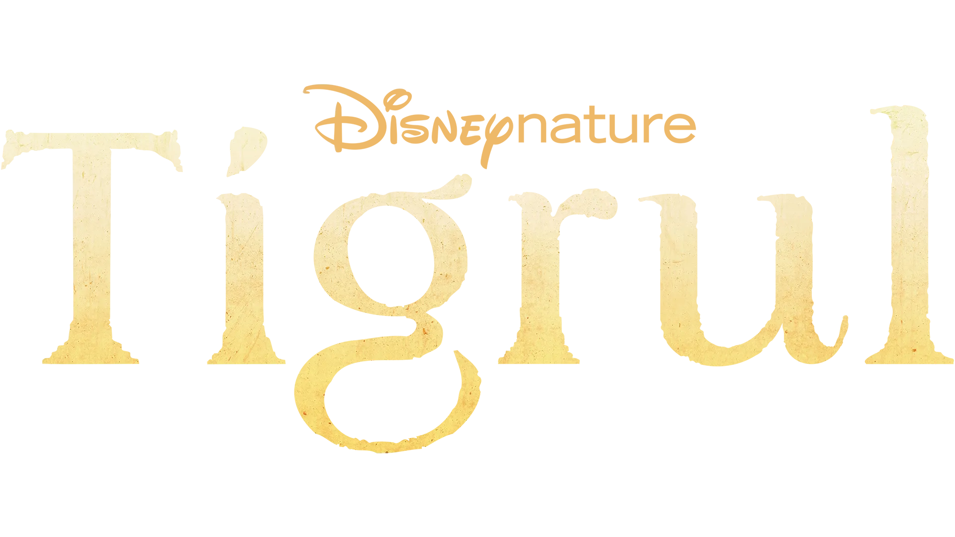 Tigrul