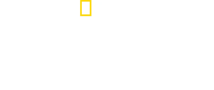 ロスト・シティ：3Dで甦る古代の物語