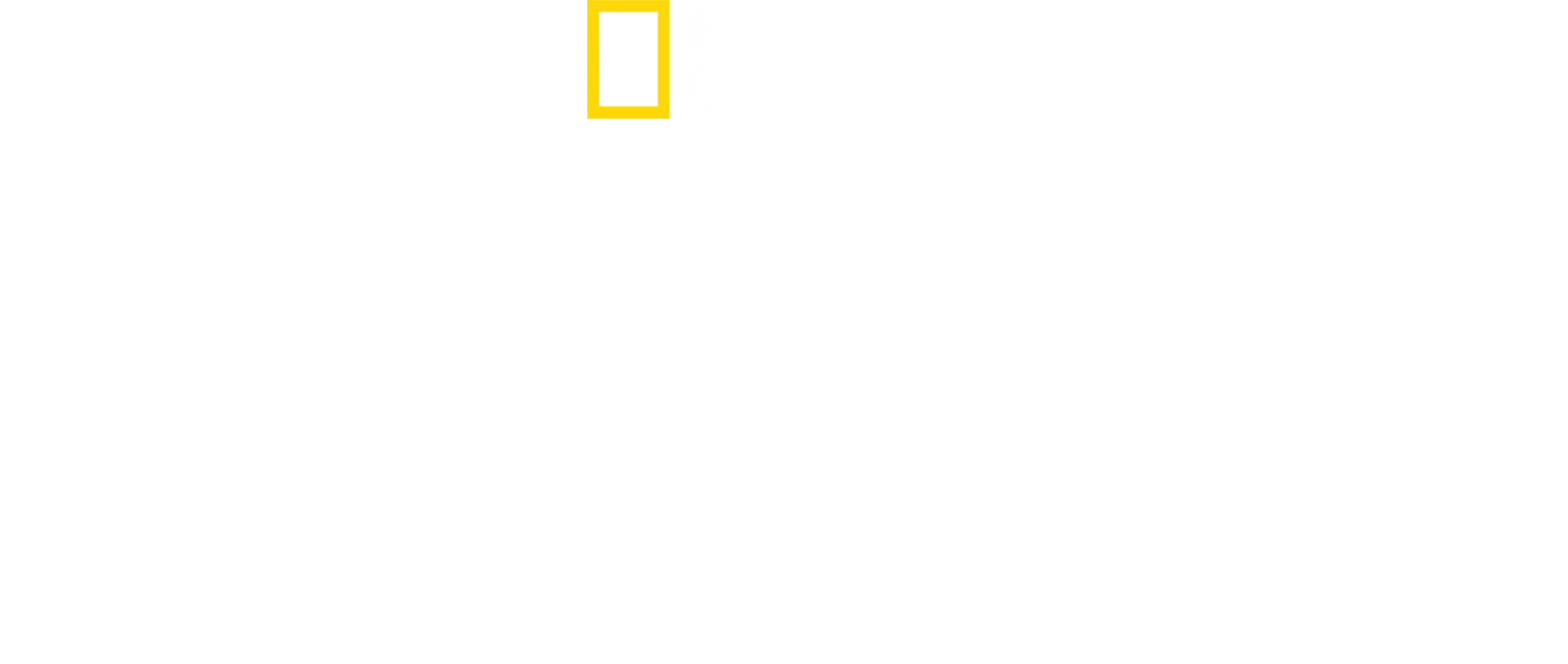 ロスト・シティ：3Dで甦る古代の物語