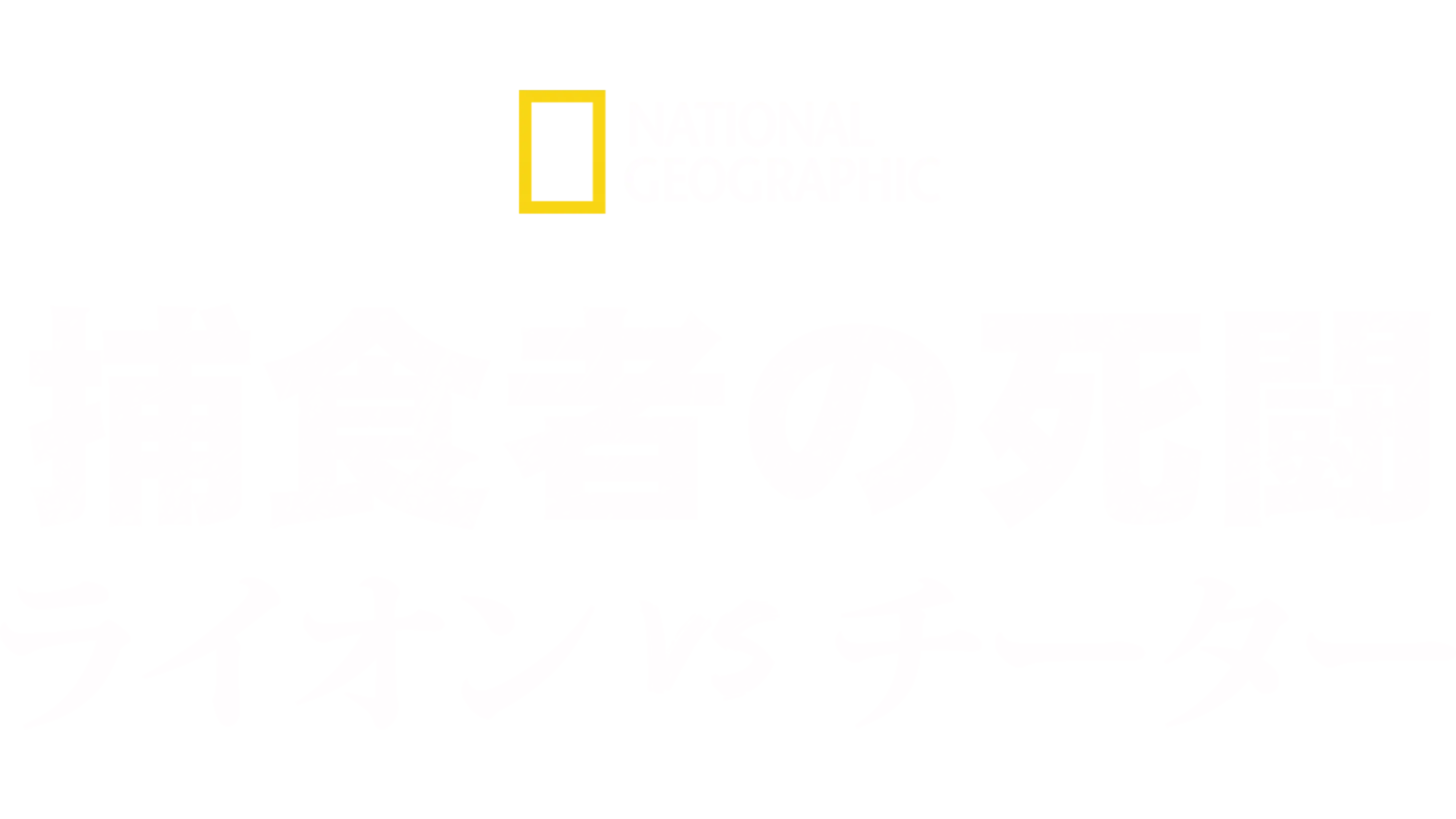 捕食者の死闘：ライオンvsチーター