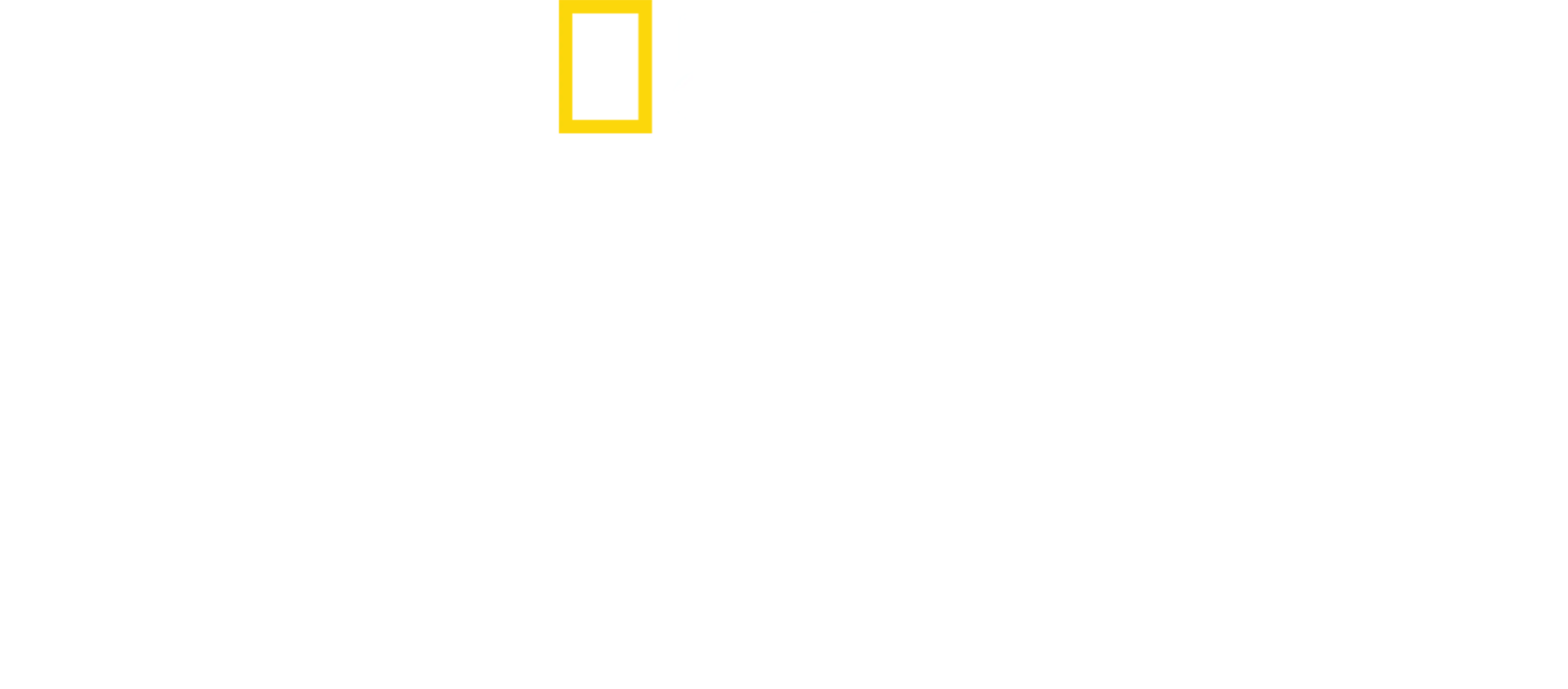 捕食者の死闘：ライオンvsチーター