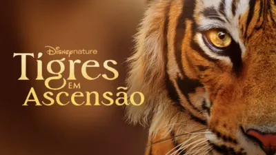 Tigres em Ascensão