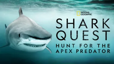 Shark Quest: Hunt for the Apex Predator