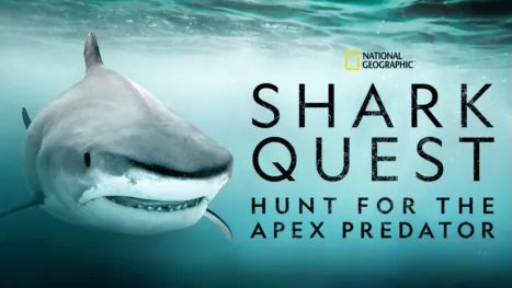 thumbnail - Shark Quest: Hunt for the Apex Predator